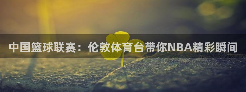 51视频在线直播nba