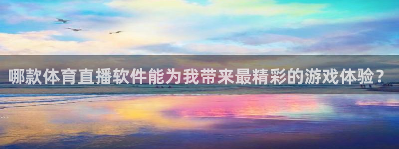 51视频在线直播nba
