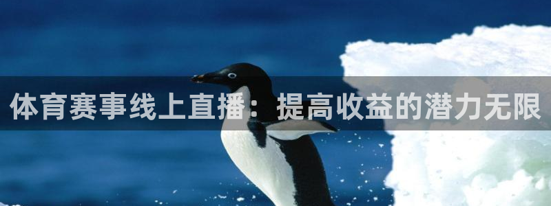 51视频在线直播nba