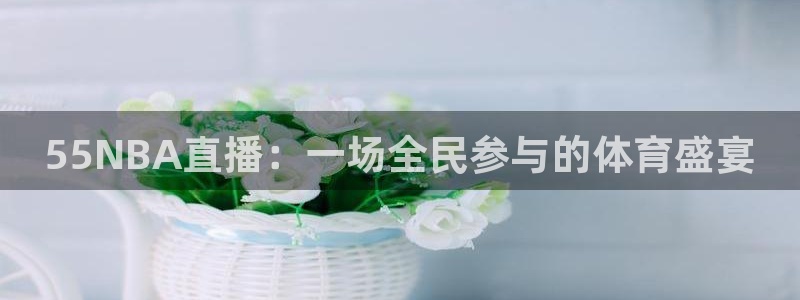 51视频在线直播nba
