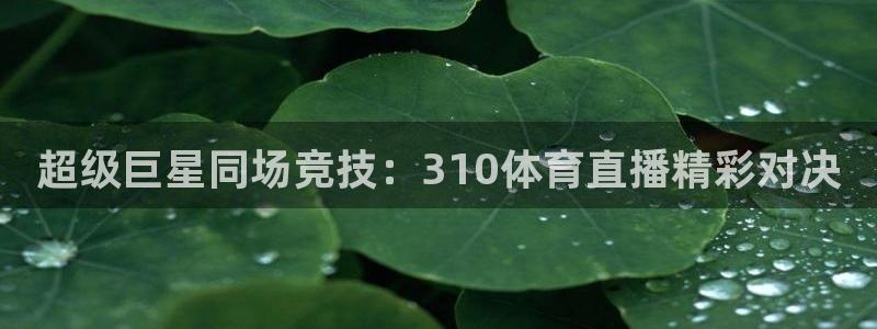 51视频在线直播nba：超级巨星同场竞技：310体育直播精彩对决