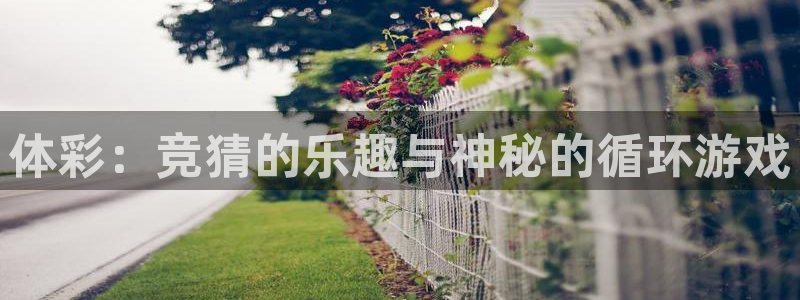 51视频在线直播nba：体彩：竞猜的乐趣与神秘的循环游戏