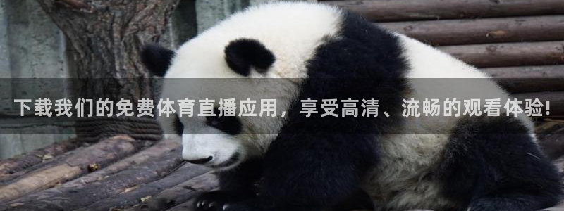 51视频在线直播nba