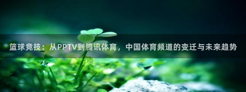 51视频在线直播nba