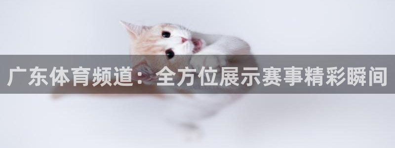 51视频在线直播nba：广东体育频道：全方位展示赛事精彩瞬间