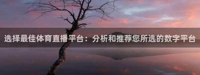 51视频在线直播nba：选择最佳体育直播平台：分析和推荐您所选的数字平台